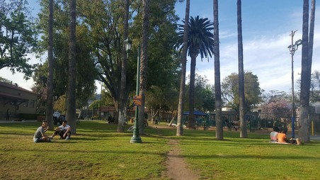 Enlarge photo 3