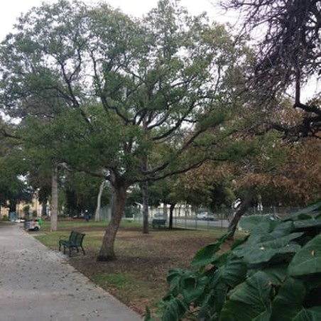 Enlarge photo 4