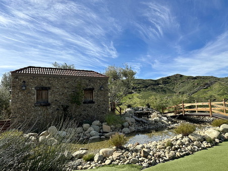 Enlarge photo 67