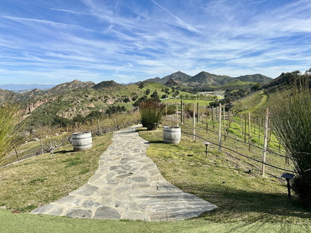 Enlarge photo 72