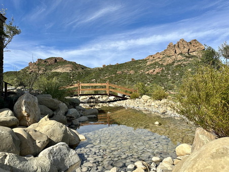 Enlarge photo 75