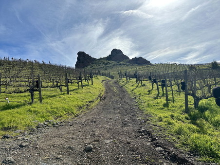 Enlarge photo 92
