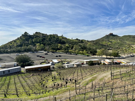 Enlarge photo 81