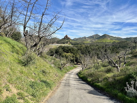 Enlarge photo 84