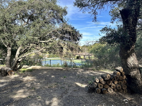 Enlarge photo 88