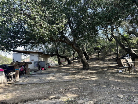 Enlarge photo 91