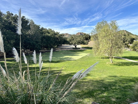 Enlarge photo 104