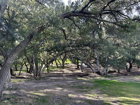 Enlarge photo 106