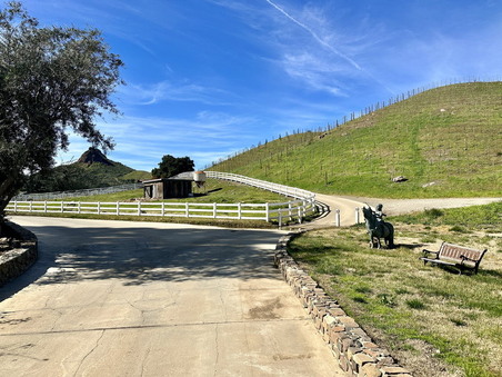 Enlarge photo 19