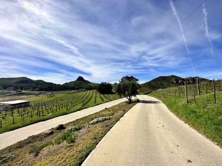 Enlarge photo 28