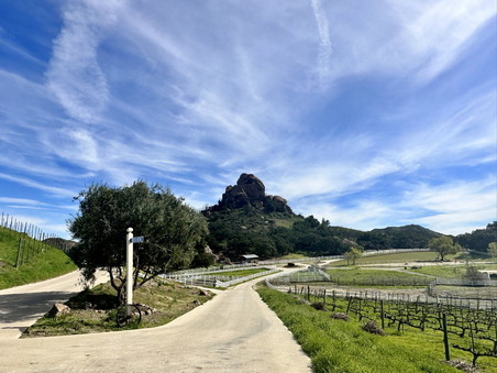 Enlarge photo 21