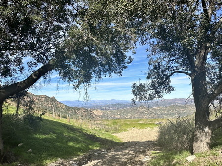 Enlarge photo 25