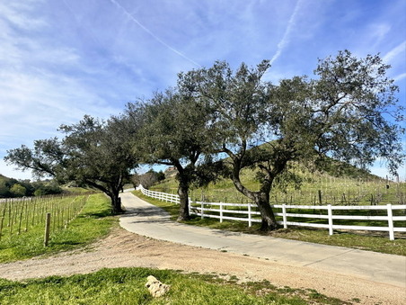 Enlarge photo 30