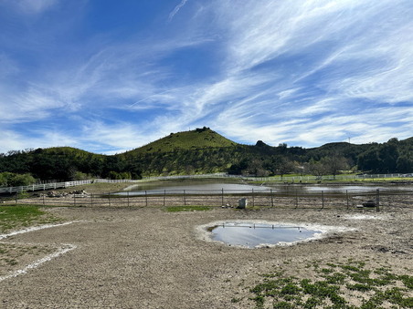 Enlarge photo 31