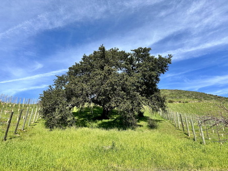 Enlarge photo 32