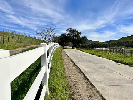 Enlarge photo 33