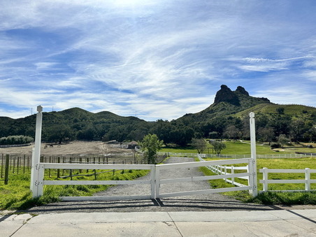 Enlarge photo 34