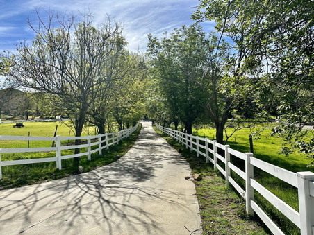 Enlarge photo 37