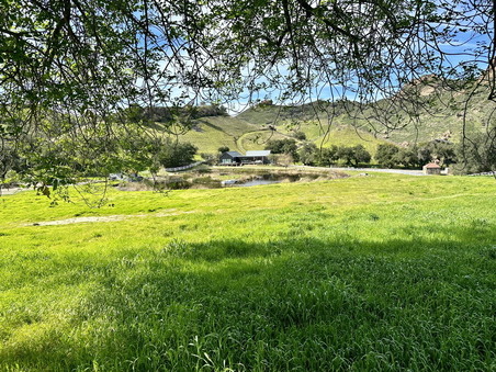 Enlarge photo 49