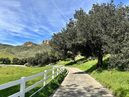 Enlarge photo 38