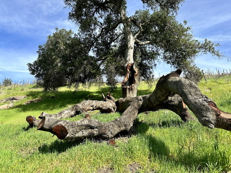 Enlarge photo 39