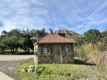 Enlarge photo 40