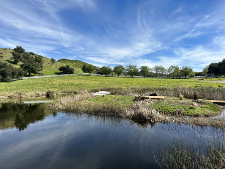 Enlarge photo 44
