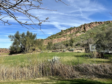 Enlarge photo 52