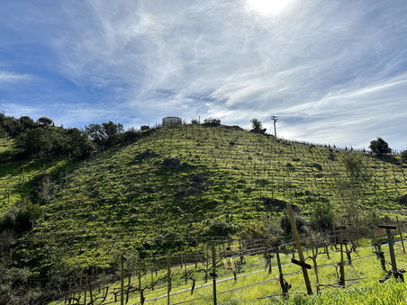 Enlarge photo 62