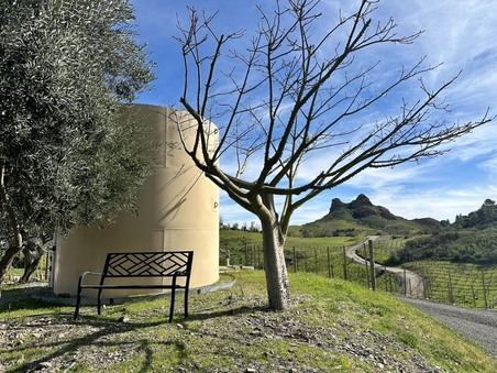 Enlarge photo 63