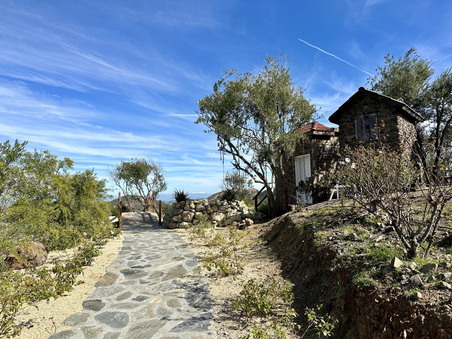 Enlarge photo 65