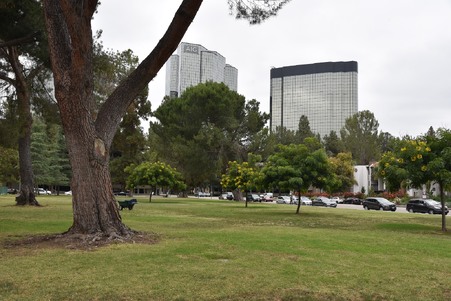 Enlarge photo 11