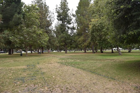 Enlarge photo 26