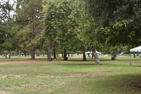 Enlarge photo 27