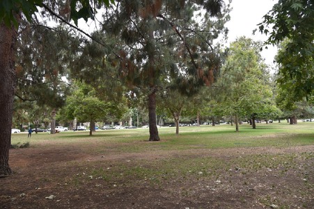 Enlarge photo 28