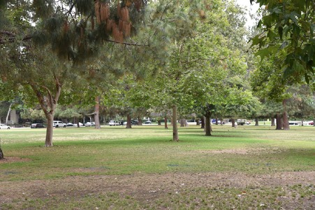 Enlarge photo 29