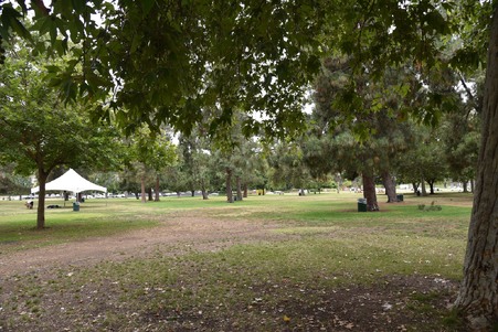 Enlarge photo 30