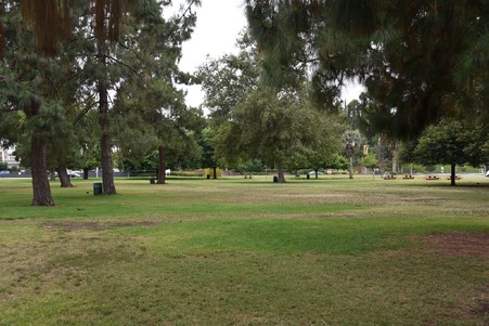 Enlarge photo 35