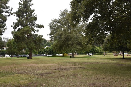 Enlarge photo 36