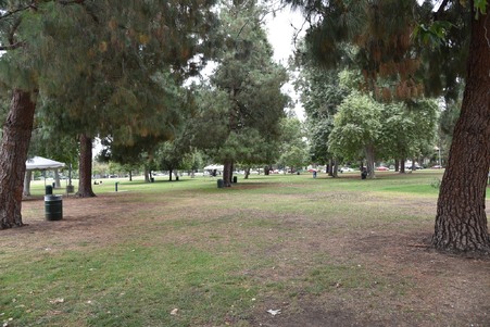 Enlarge photo 37