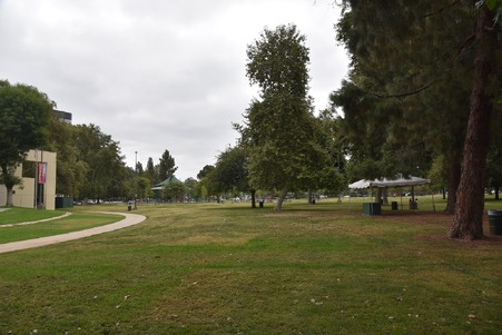 Enlarge photo 41