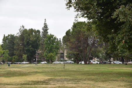 Enlarge photo 43