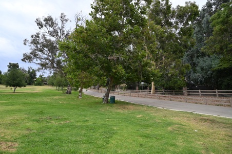 Enlarge photo 2