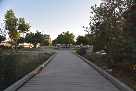 Enlarge photo 9
