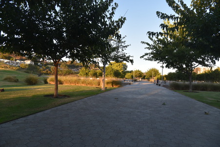 Enlarge photo 25