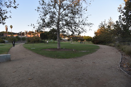 Enlarge photo 35