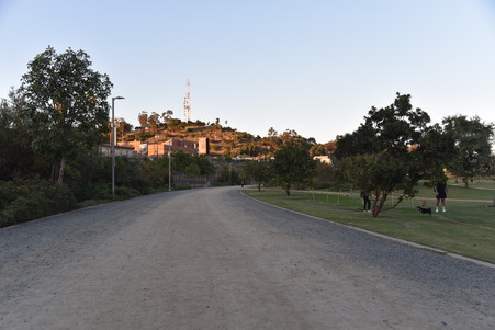 Enlarge photo 37