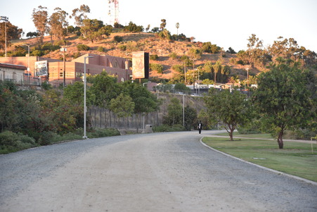 Enlarge photo 40
