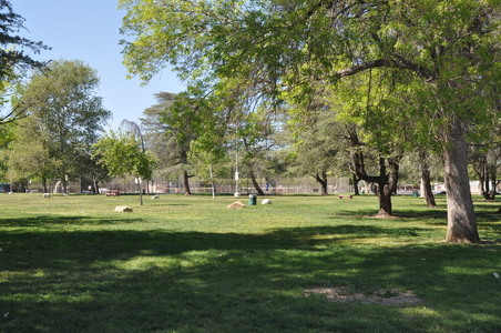 Enlarge photo 4