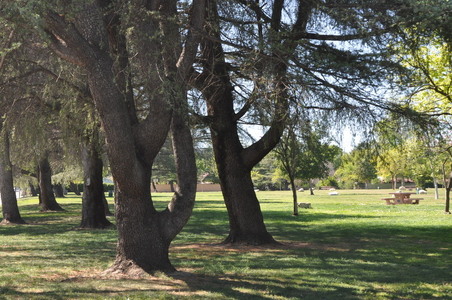 Enlarge photo 2